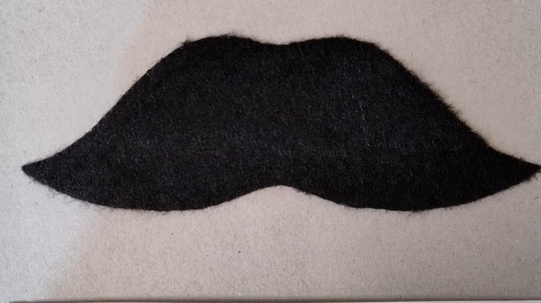 Assorted Black Moustaches - PartyExperts