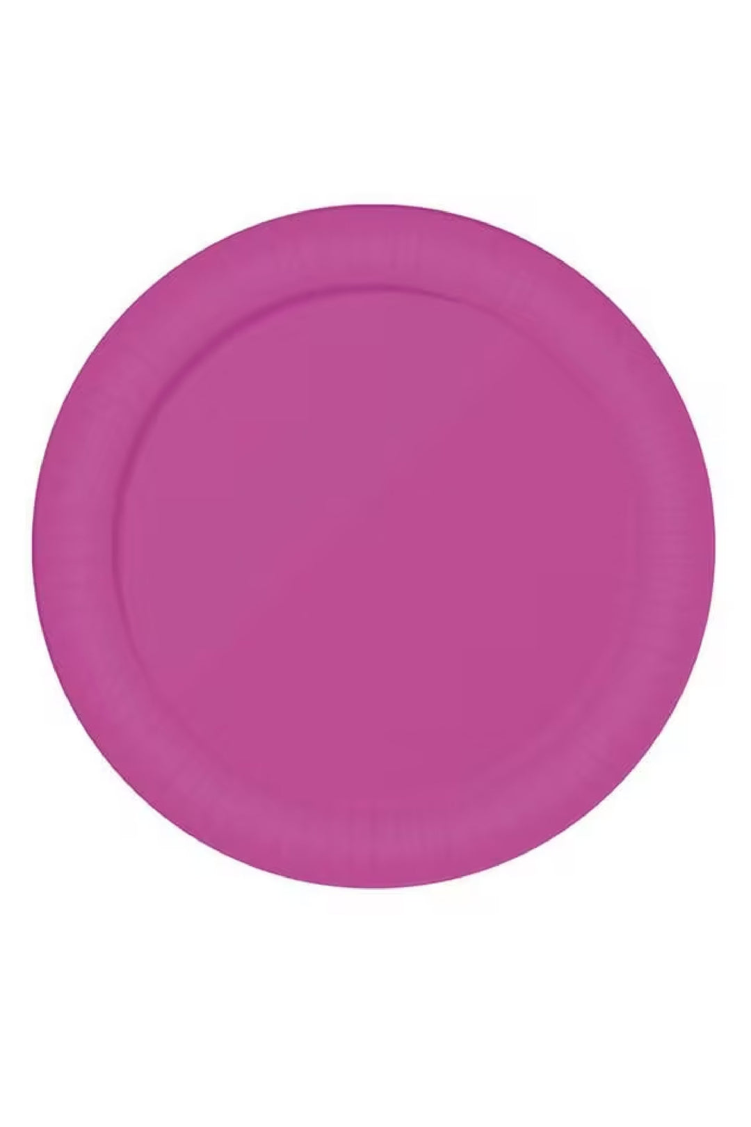 BAG OF 6 NEON PLATES FUCHSIA 23 CMS - PartyExperts