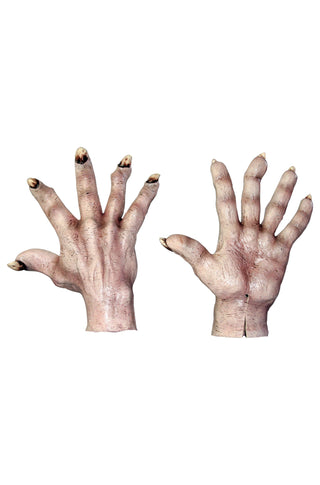 Evil Hands Flesh - PartyExperts
