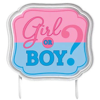 Girl Or Boy? Plastic Cake Topper - PartyExperts