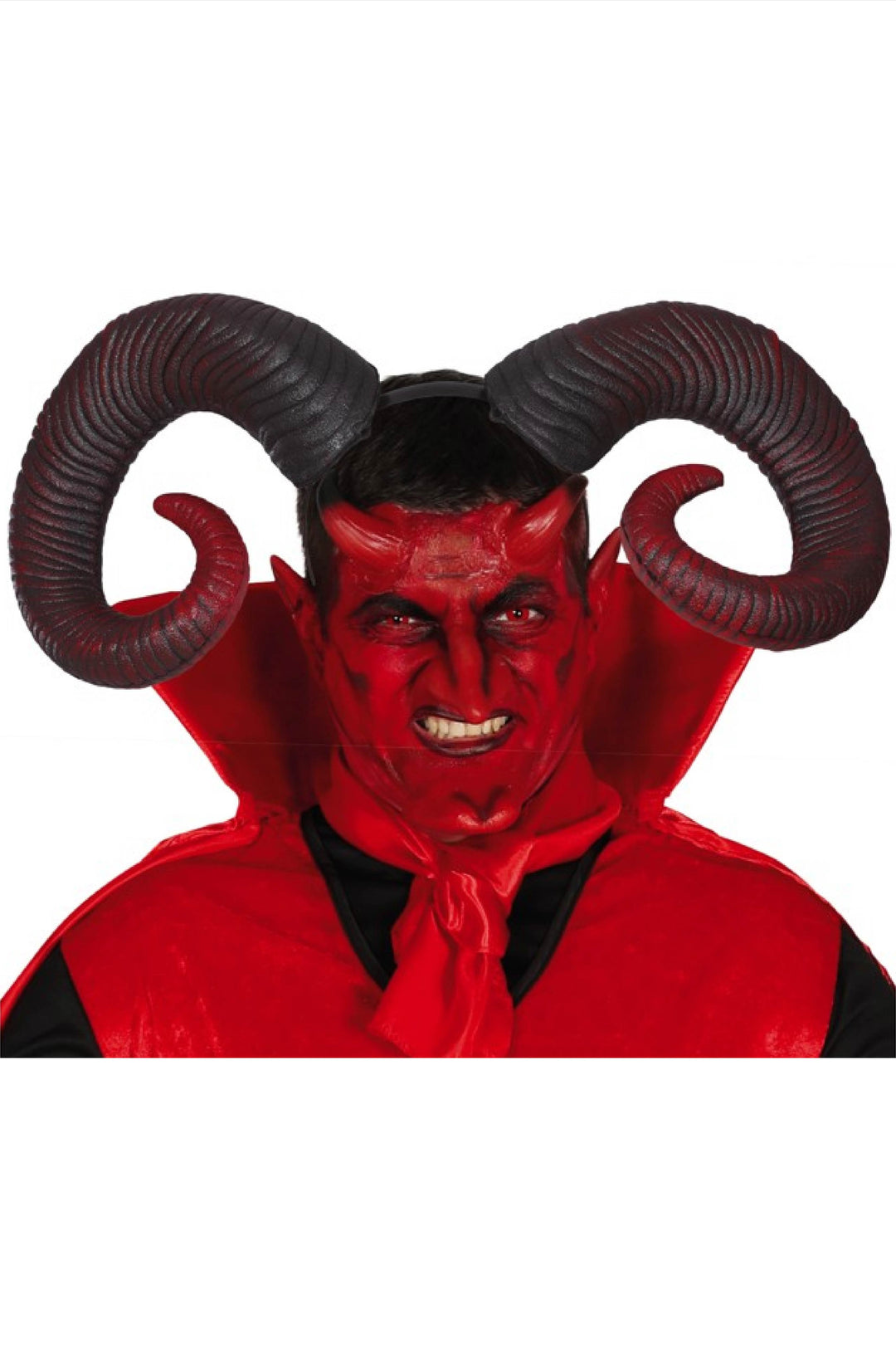 RAM HORNS - PartyExperts