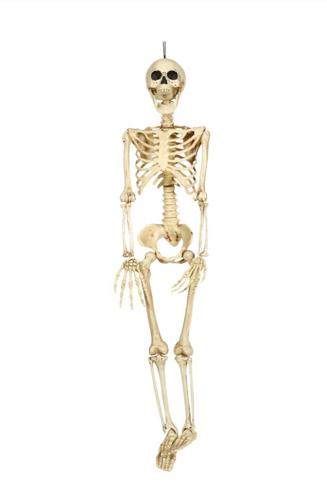 SKELETON 90 CM - PartyExperts