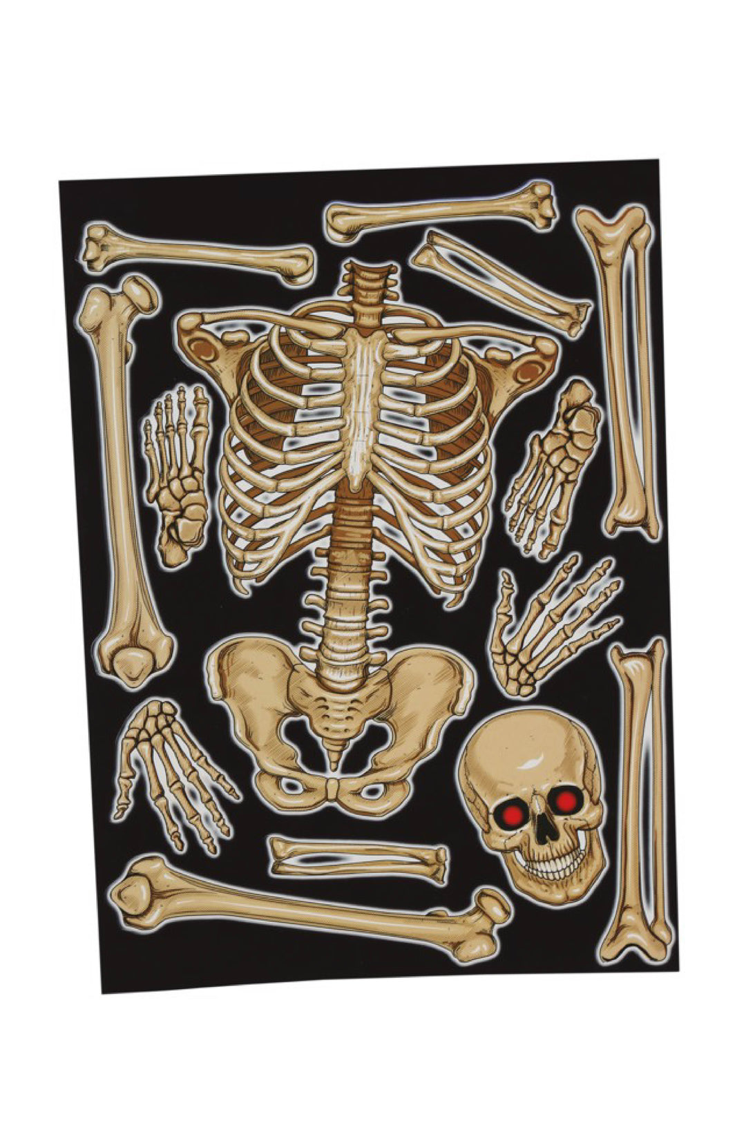 Skeleton Window Decoration.