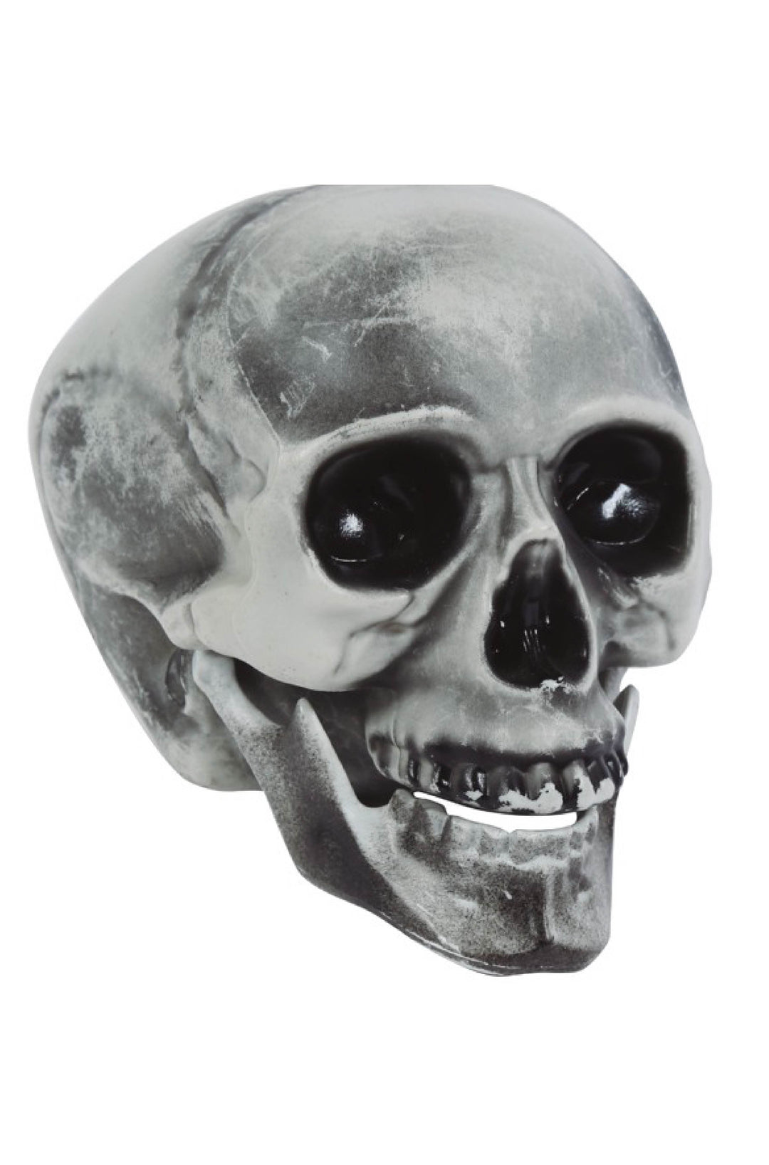 Skull Decoration.