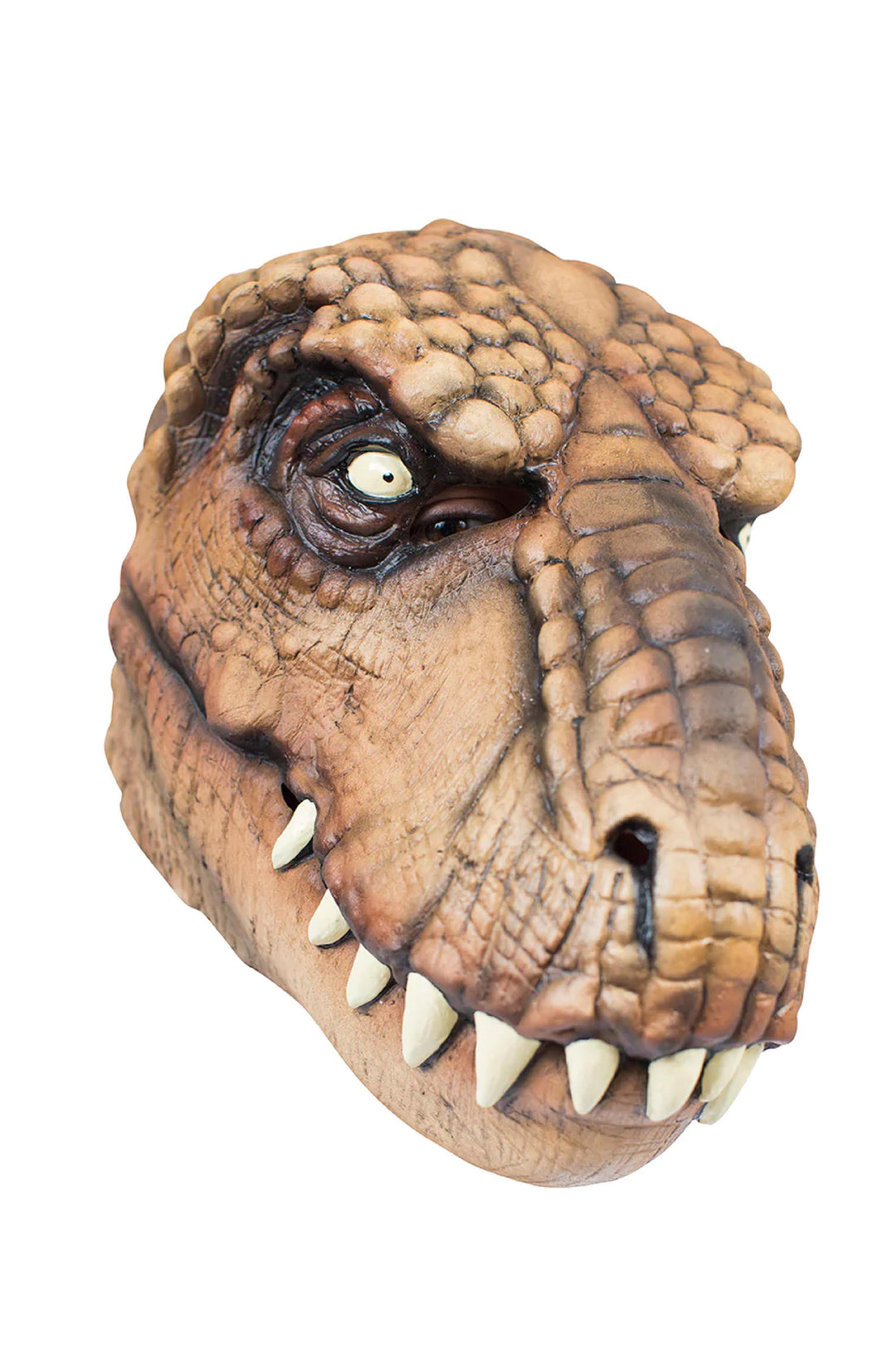 T-Rex - PartyExperts