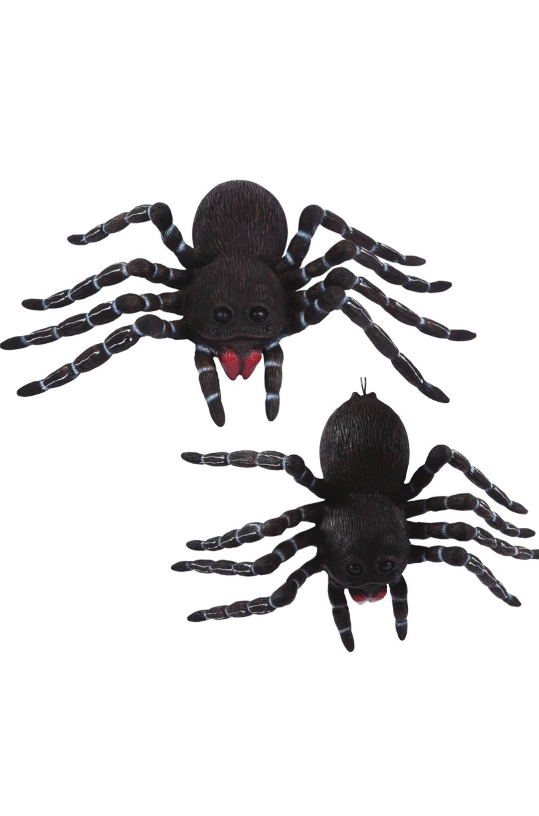 Tarantula Decoration.