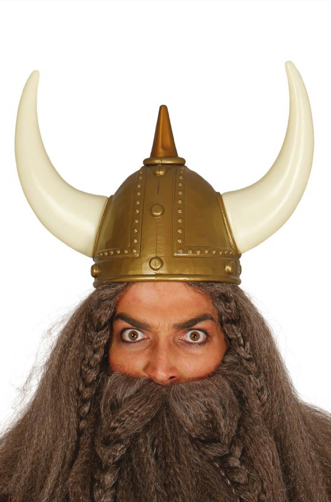 VIKING HELMET - PartyExperts
