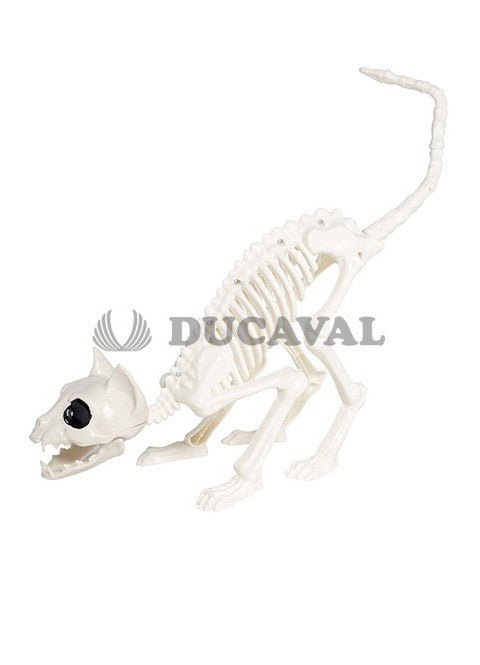 CAT SKELETON 48 CM - PartyExperts