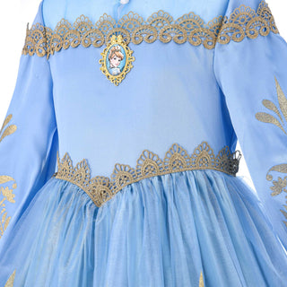 Cinderella Prestige Dress Up Costume - PartyExperts