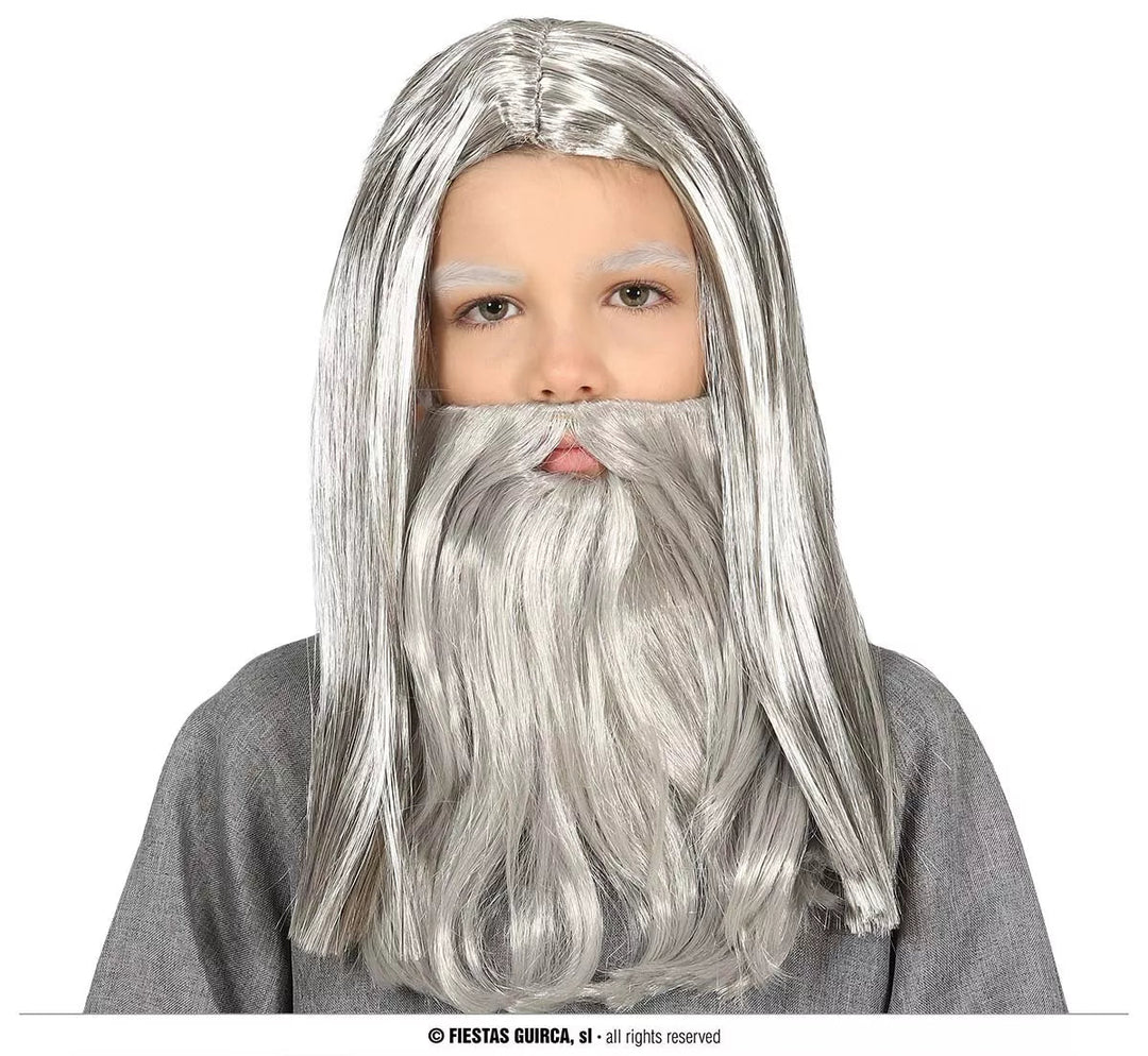 GREY WIG AND BEARD FOR CHILDREN IN BOX - PartyExperts