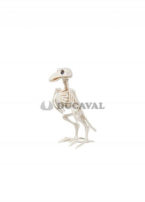 RAVEN SKELETON 20 CM - PartyExperts