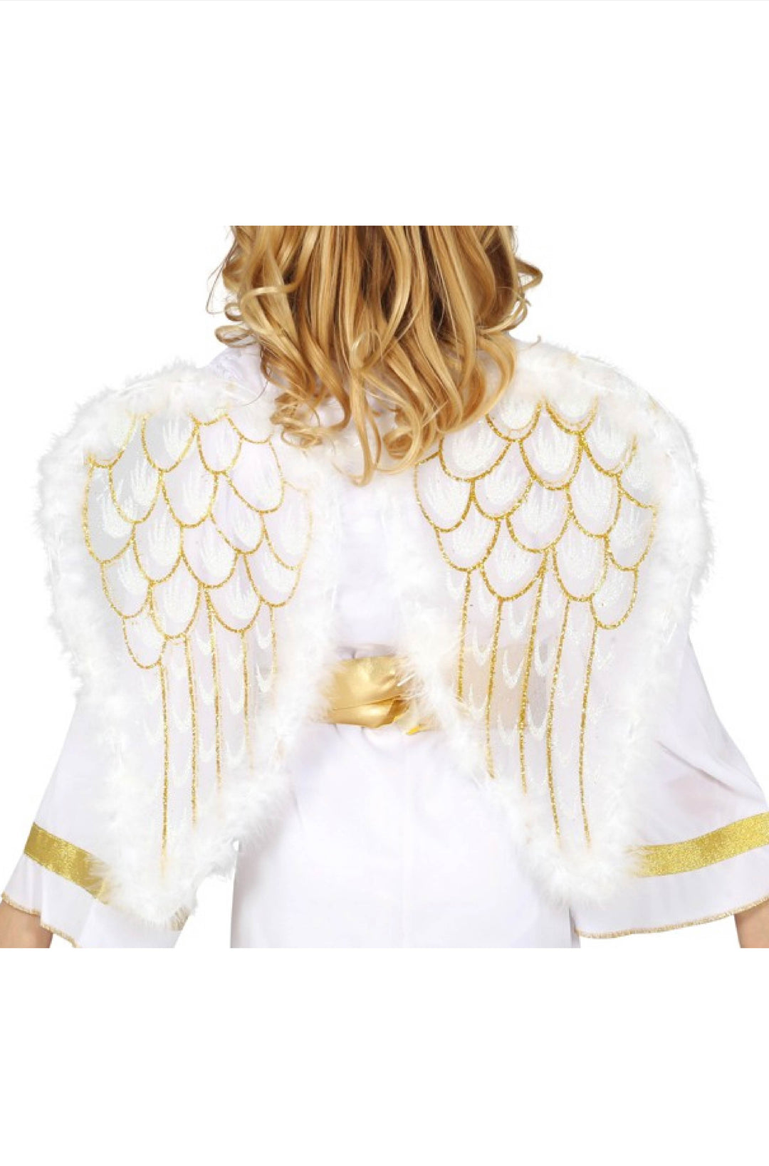 ANGEL WINGS - PartyExperts