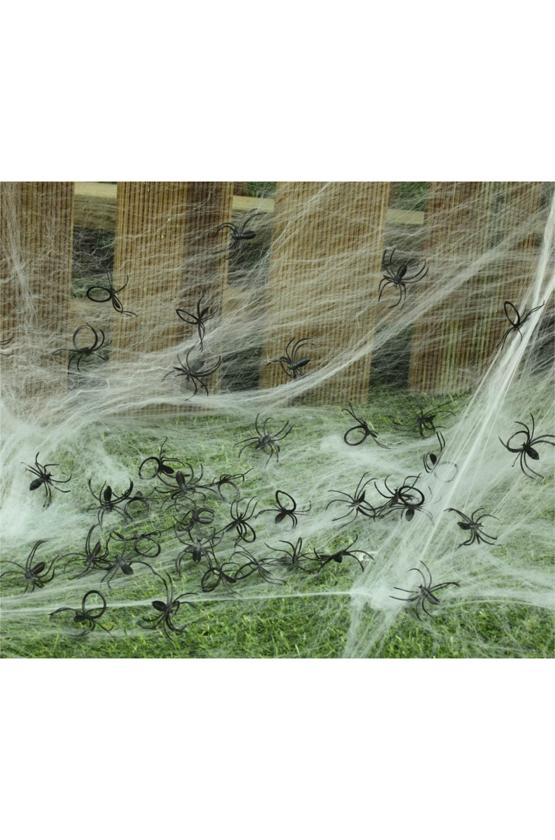 50pcs Spiders Decoration.