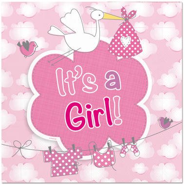 Birth Girl Napkins Itâ€™s a girl - PartyExperts