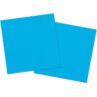 Blue Napkins - PartyExperts