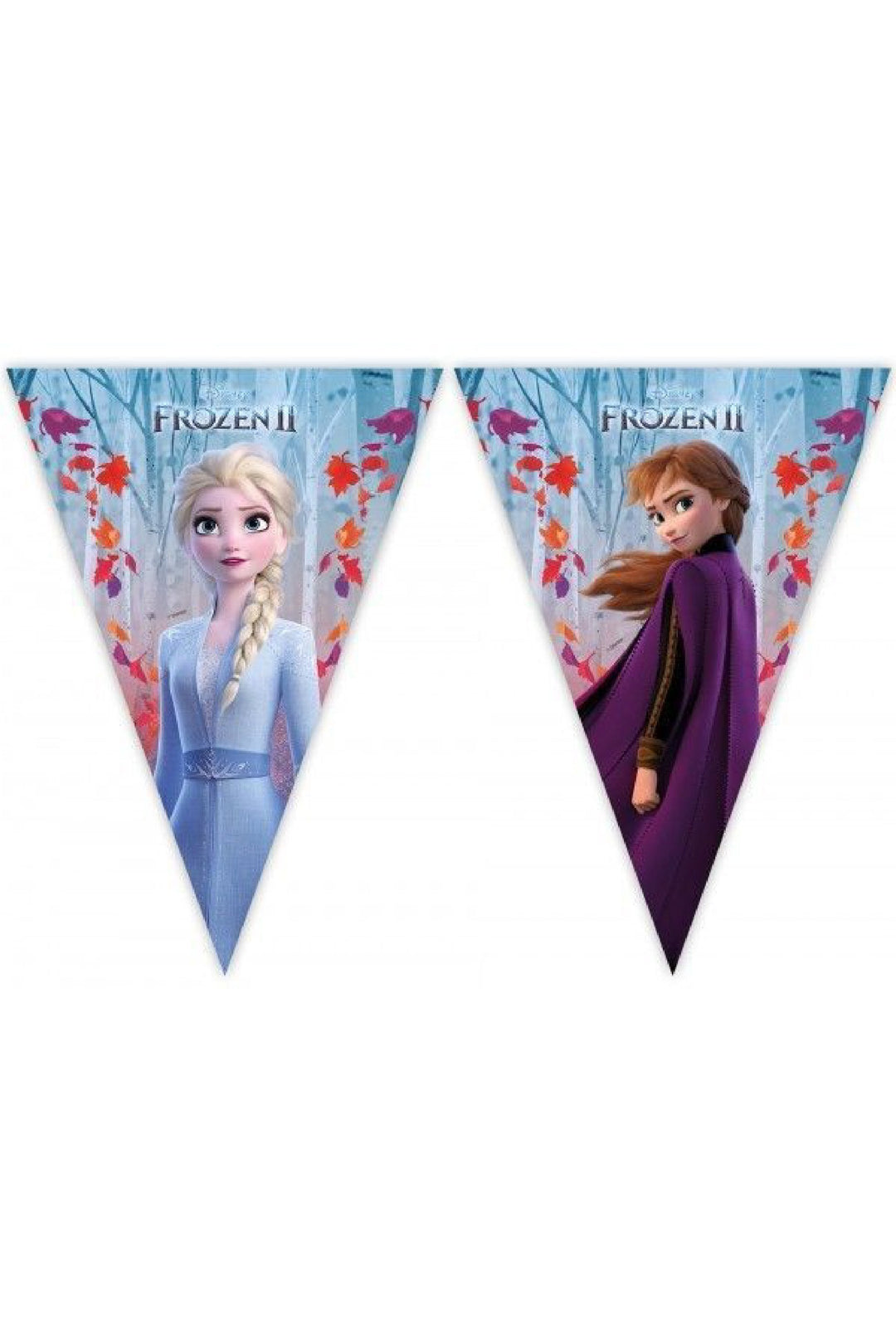 Bunting Garland Frozen 2 - PartyExperts