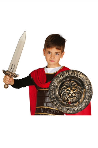 CHILD SHIELD AND SWORD - PartyExperts
