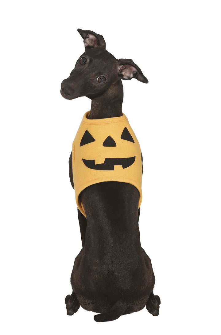 COSTUME PUMPKIN DOG - PartyExperts