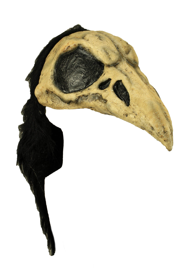 Crow Bird Helmet.