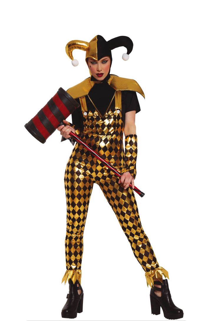 Dangerous Harley Quinn Clown Costume.