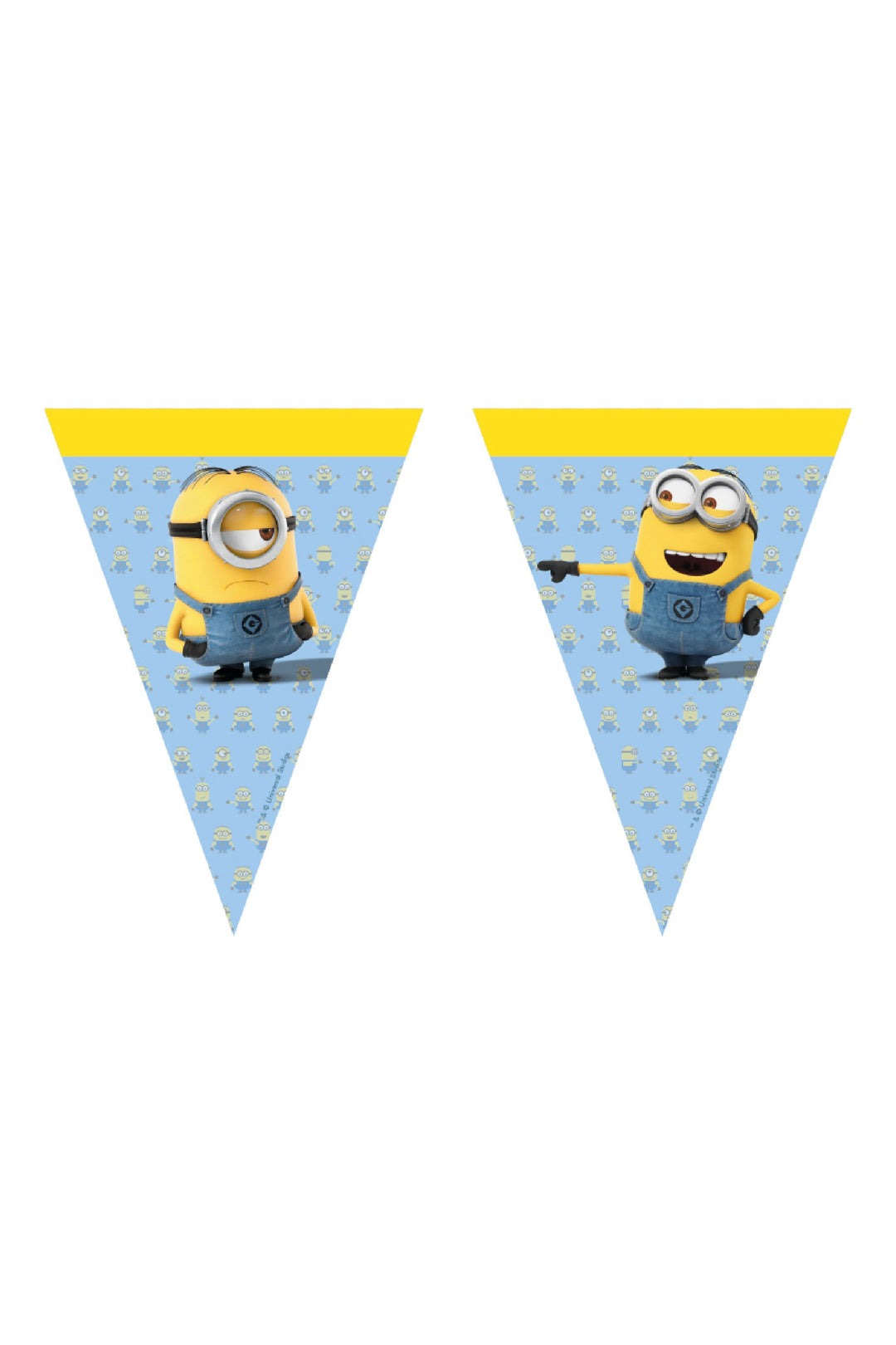 Despicable Party Flags - PartyExperts