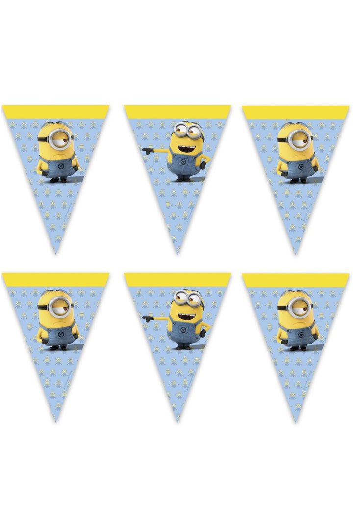 Despicable Party Flags - PartyExperts