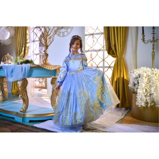 Disney Golden Princess Cinderella Prestige Dress Up Costume - PartyExperts