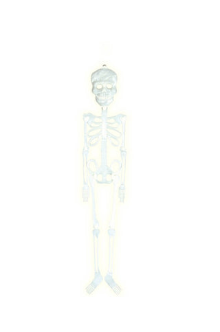 Fluorescent Skeleton Decoration.