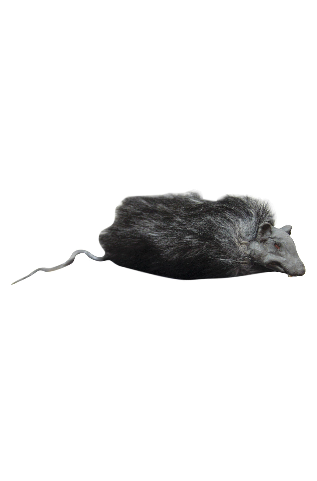 High Quality Rats Prop (Latex) - PartyExperts