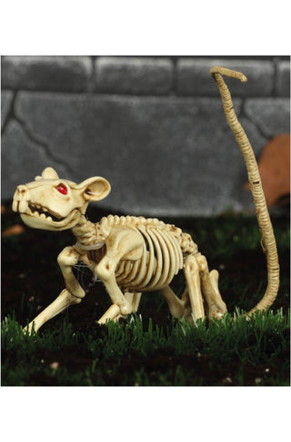 Rat Skeleton Decoration.
