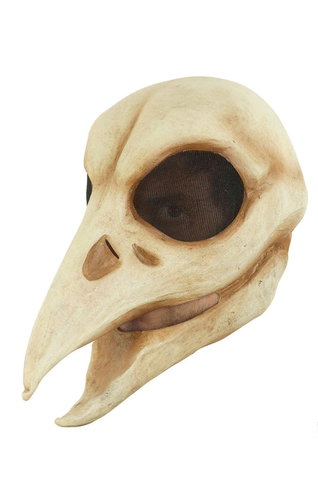 Raven Skull - PartyExperts