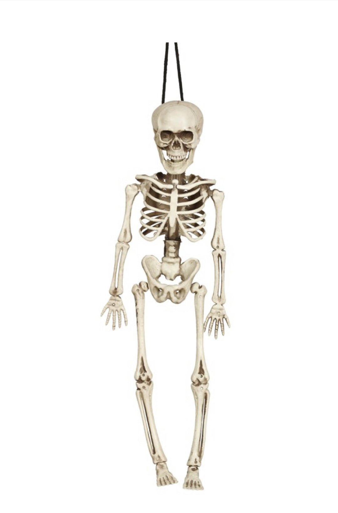 SKELETON - 40cm - PartyExperts