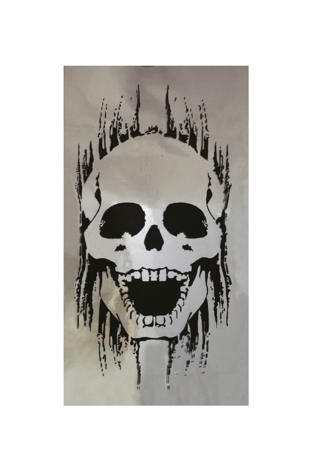 Skull Door Decoration.