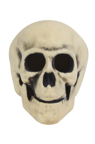Skull with LED Decoration.