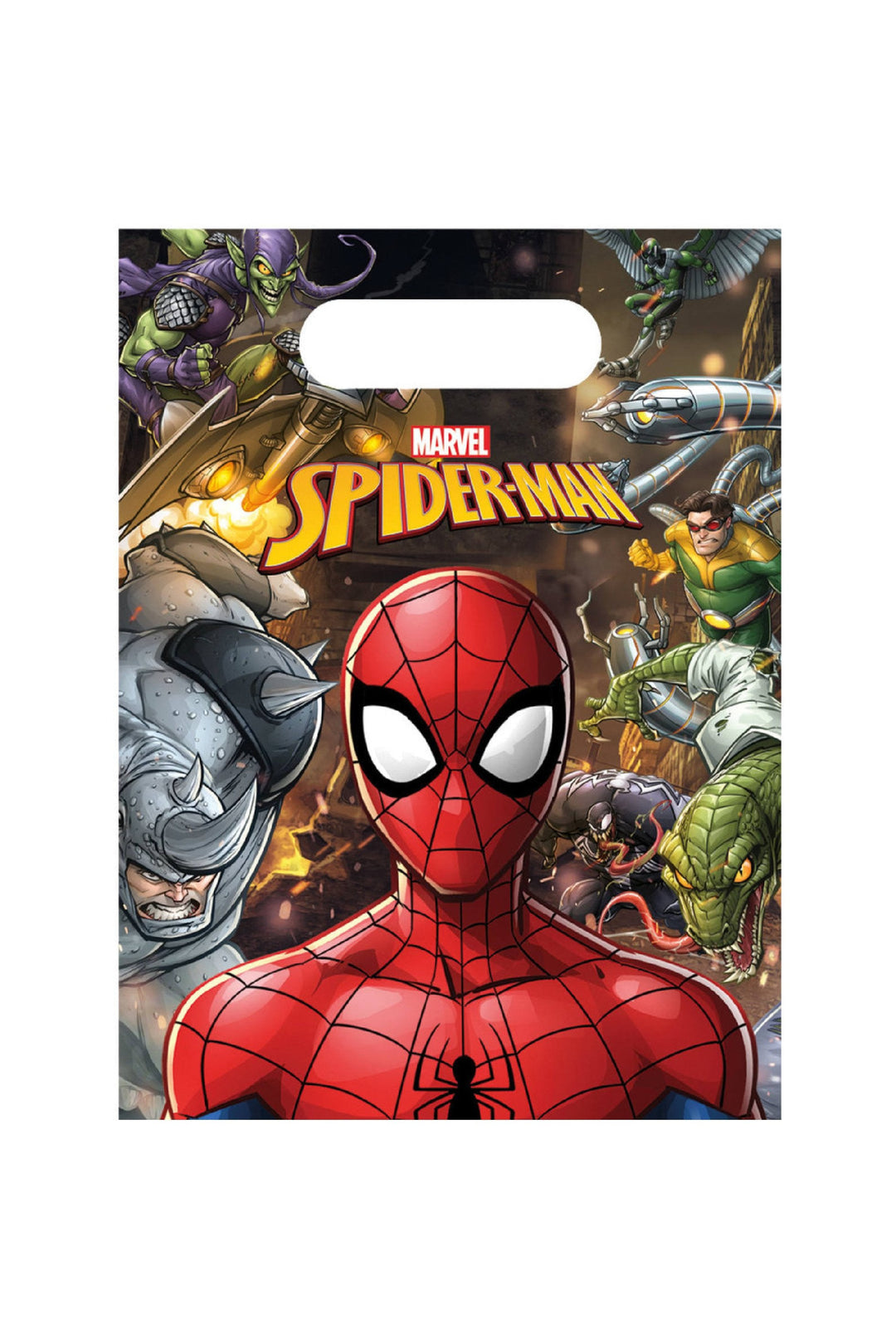 Spider - Man Team Gift Bags - PartyExperts