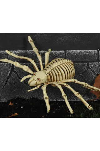 Spider Skeleton Decoration.