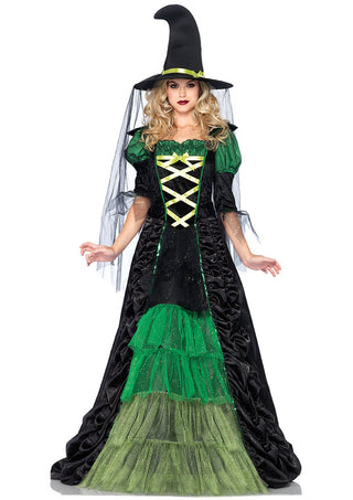 Storybook Witch Adult Costume.