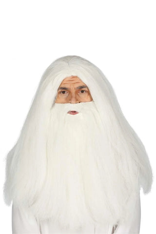 WHITE BEARD AND WIG IN BOX - PartyExperts