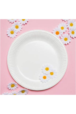 White Disposable Plates - PartyExperts