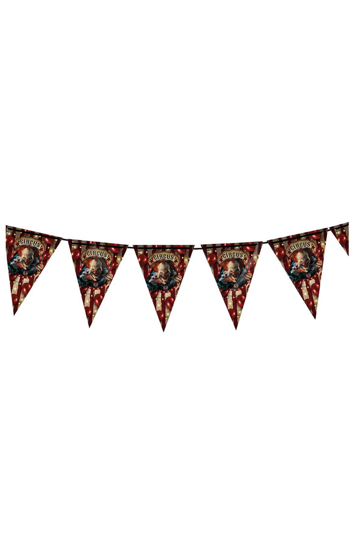 WIZARD PENNANT 300 CM 20X30 CM - PartyExperts